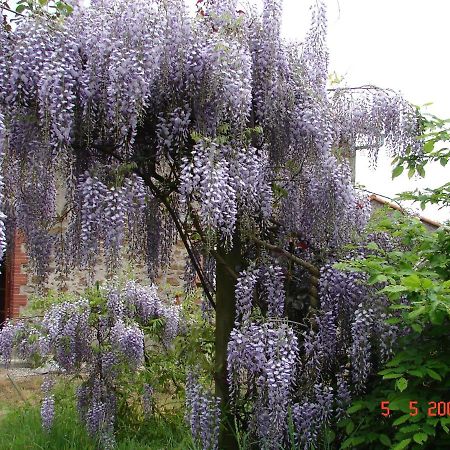 Gîte climatisé de La Haute Rue Touvois Exterior foto